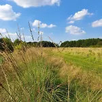 Loasen Vesterhede * Hejnsvig