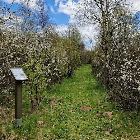 Loasen Vesterhede Hejnsvig