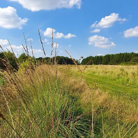 Loasen Vesterhede * Hejnsvig