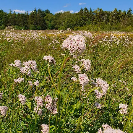 Loasen Vesterhede Appartamento Hejnsvig