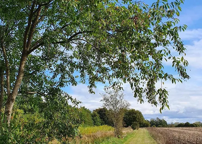 Loasen Vesterhede Lejlighed Hejnsvig