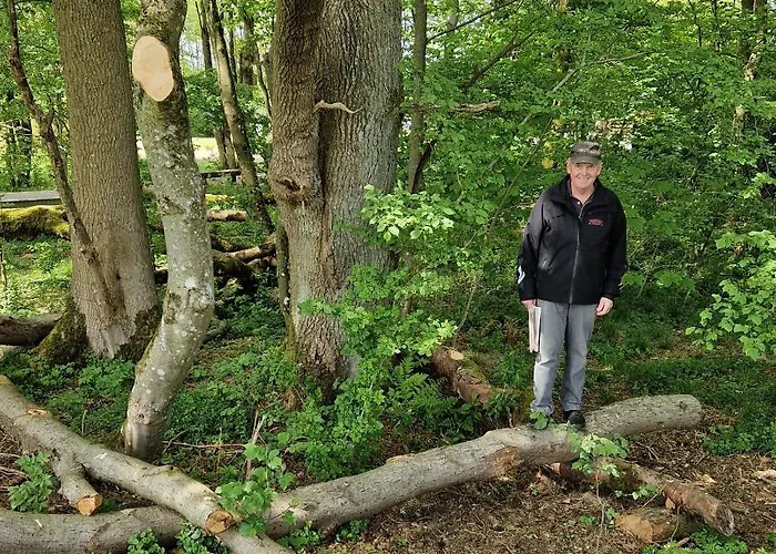 Loasen Vesterhede Lejlighed Hejnsvig