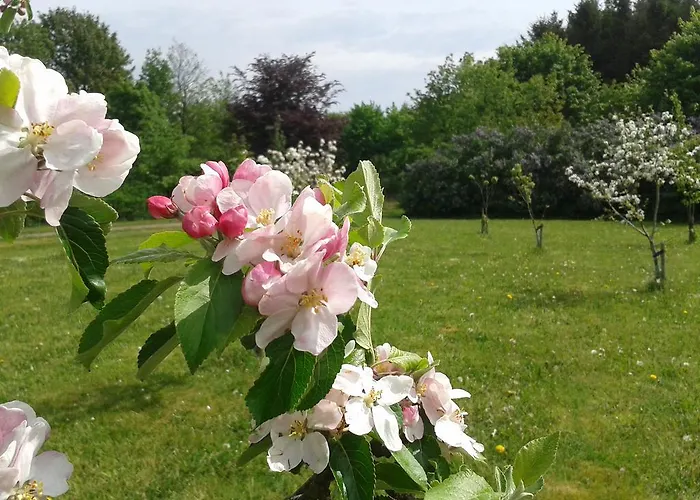 Lejlighed Loasen Vesterhede