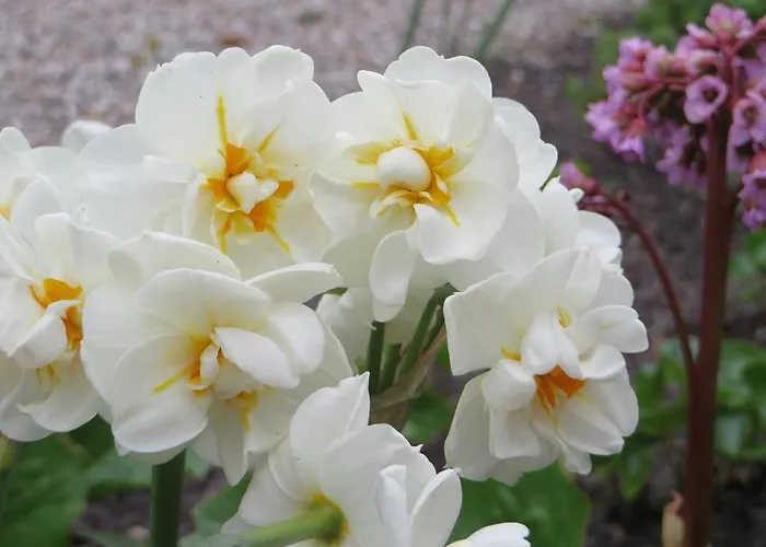 Apartamento Loasen Vesterhede *